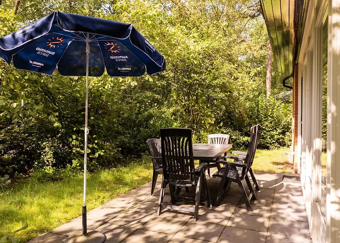 Forest W Pool Putten